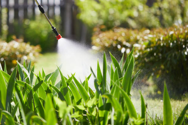 24/7 Emergency Wasp Removal experts in Champion Heights, OH