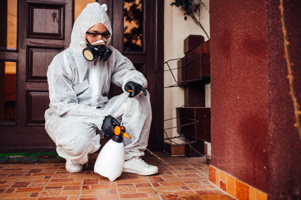 Reliable Wasp Removal contractor in Champion Heights, OH by Show Me Pest Control