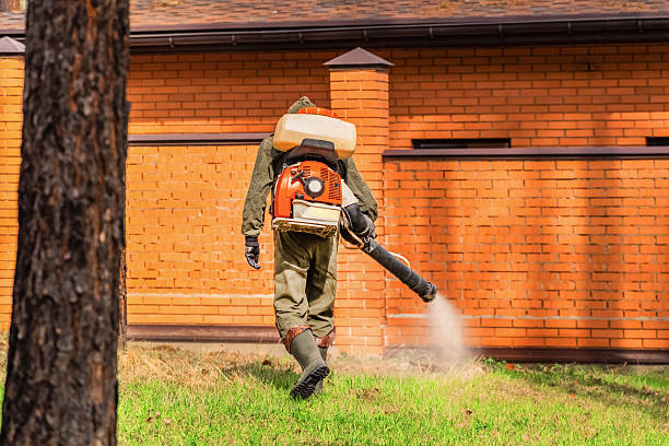 Top rated local Wasp Removal specialists in Champion Heights, OH